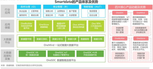 企業級無代碼軟件開發 數睿數據解讀艾瑞咨詢白皮書的核心洞見