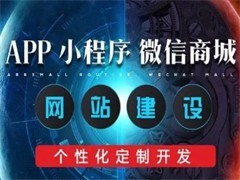 重慶應(yīng)用軟件開發(fā) 區(qū)域優(yōu)勢與行業(yè)趨勢