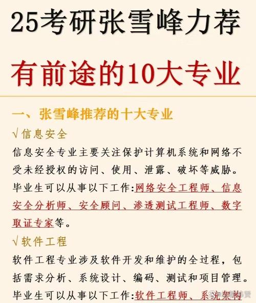 網(wǎng)絡(luò)與信息安全專業(yè)的多元職業(yè)路徑 從技術(shù)到咨詢的全面指南